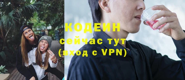 шишки Белокуриха