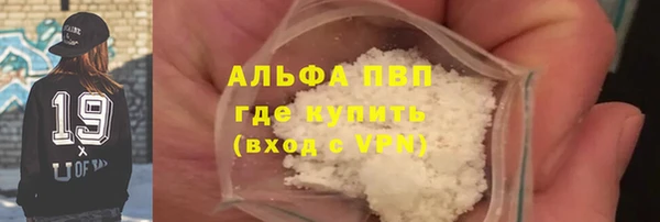 шишки Белокуриха
