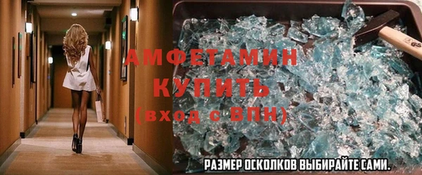 шишки Белокуриха