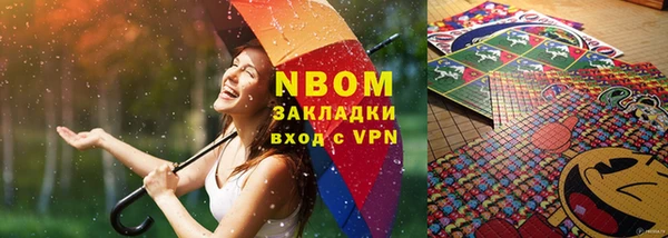 шишки Белокуриха