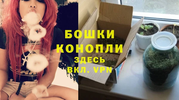 шишки Белокуриха
