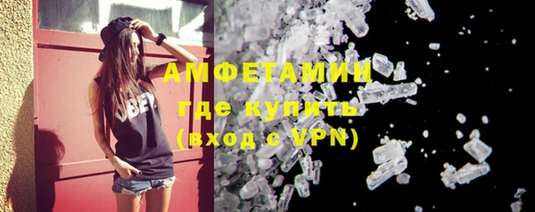 шишки Белокуриха