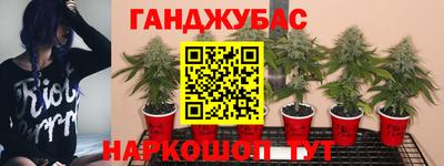 хмурый Михайловка