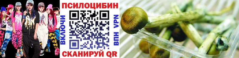 Псилоцибиновые грибы Psilocybe  Свободный 